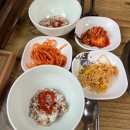 [춘천] 효자동 은혜네 해물칼국수 춘천 칼국수 맛집 후기