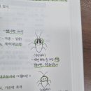 면밥당