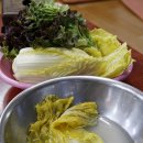 인동촌