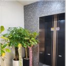 주완치과의원 이미지