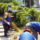 삼거리이용원 이미지
