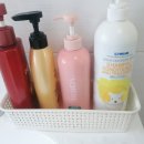 어우름스파애견펜션 이미지