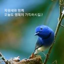 귀여운 동생들의 대화...^^^ 이미지