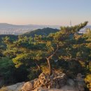 남산행정사사무소 이미지