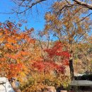 청도강변돌고래펜션 이미지