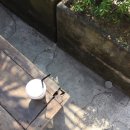 카페 바투(cafe 바투) 이미지