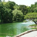 삼성골프장 이미지