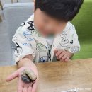 웅진북클럽포항사업국 | [포항 생태체험] 웅진북클럽 포항사업국에 찾아가는 곤충, 파충류 체험을 진행했습니다!