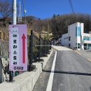 아로하스토리 | [용인 애견운동장] 용인 실내애견카페! 강쥐천국 &#34;아로하스토리&#34;