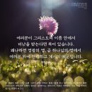 베드로전서 4:12 – 4:19 그리스도인의 불 시험, 주님 고난에 참여하는 일 이미지 이미지