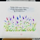 플러스펜 수채캘리 이미지