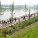 아라 커뮤니티 이미지