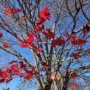 삼화사노인요양원 이미지