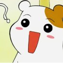 브레인푸딩 이미지