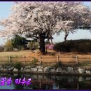 달빛섬 이미지