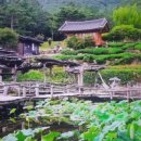 대구펜션 목수의 집 이미지