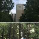 천일공인중개사 이미지