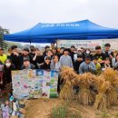 포리초등학교 이미지