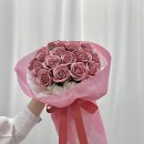 라빈플레르 이미지