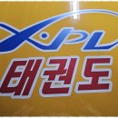 XPL 태권도 | XPL태권도 우리 아이 첫 운동 친구 경희대XPL태권도 후기