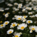 세종청사공인번역행정사사무소 이미지