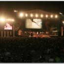 콘서트 티스토리