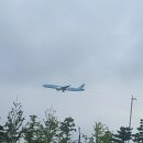 누런상회 이미지