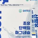 웰스리믹