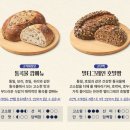 파리바게트 | [내돈내산] 파리바게트 파란라벨 후기(쫄깃담백 루스틱, 크랜베리 호두 깜빠뉴 비교)