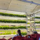 은곡농장 이미지