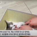 대응목장 이미지