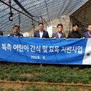 쌍방울예산