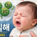 희망찬농장 | 평택 수원 동탄 병점 오산 백일해 저렴한 곳 | 백일해 주사 35,000원 | 내 주변 백일해 주사 가격