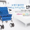 100세실버카 이미지