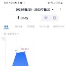 디톡스 프로그램 후기