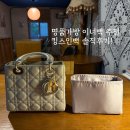 👜 명품가방 이너백 추천ㅣ디올 레이디백 스몰 이너 파우치 킹스인백 솔직후기