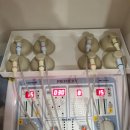 경희판교부부한의원 이미지