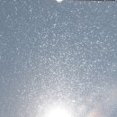 경남카오토 이미지