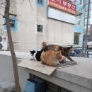 옹기종기 이미지