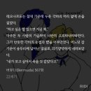 이분들 재회할때마다 버뮤다 567 이미지