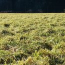 산내음농장 이미지