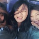 경주페러글라이딩 이미지