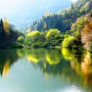 [111] World Scripture - The Human Fall - 1. Adam and Eve’s Transgression 이미지