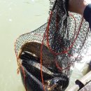 어의곡낚시터 이미지