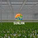 선진이엔씨