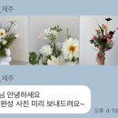 소피토제주 이미지