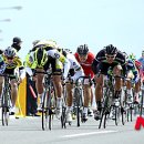 강진허브 이미지