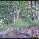 백운산갈비 이미지