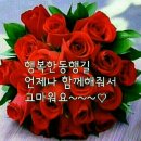 에이스 인력공사 이미지