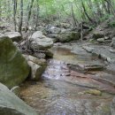 곡성-112 이미지